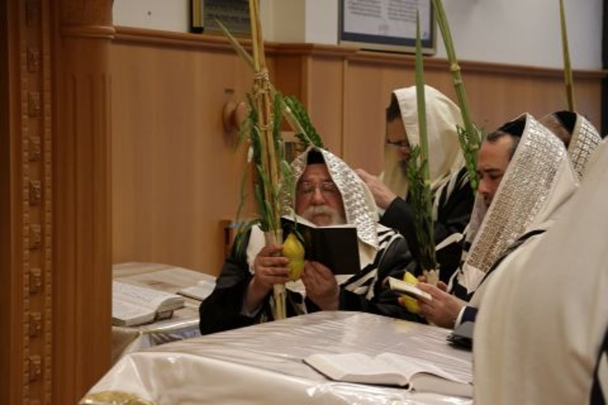 תיעוד: אדמו"רי בלגיה בהושענות