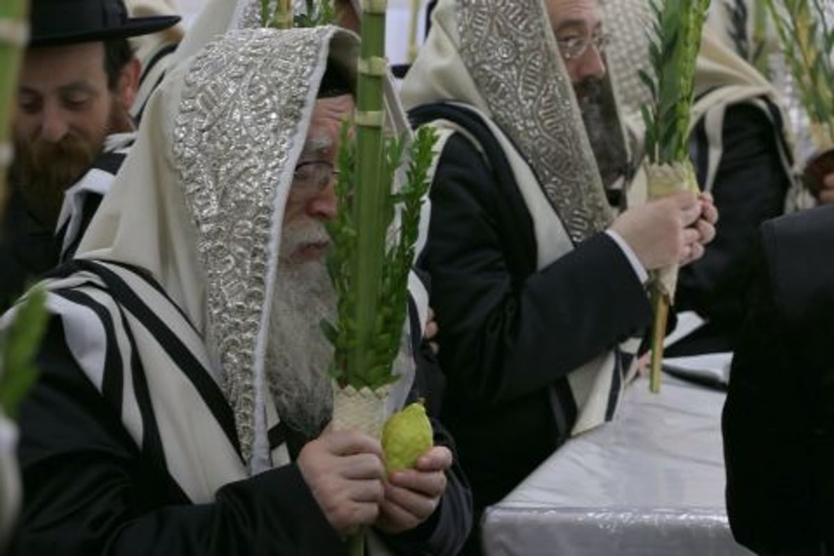 תיעוד: אדמו"רי בלגיה בהושענות