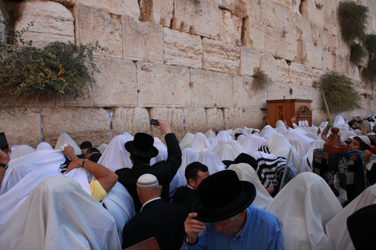 רבבות הגיעו למעמד ברכת כהנים בכותל • גלריית ענק