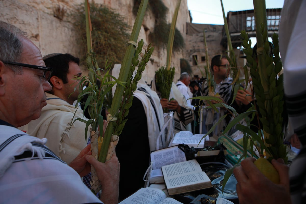 רבבות הגיעו למעמד ברכת כהנים בכותל • גלריית ענק