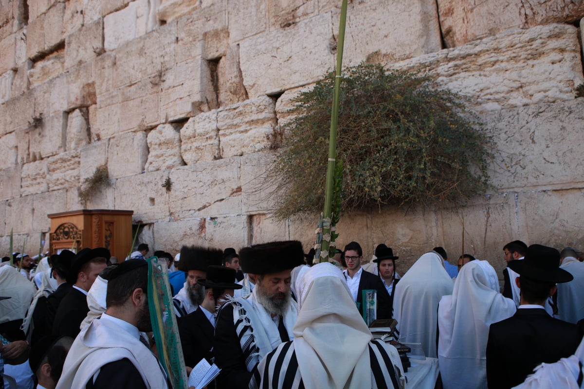 רבבות הגיעו למעמד ברכת כהנים בכותל • גלריית ענק