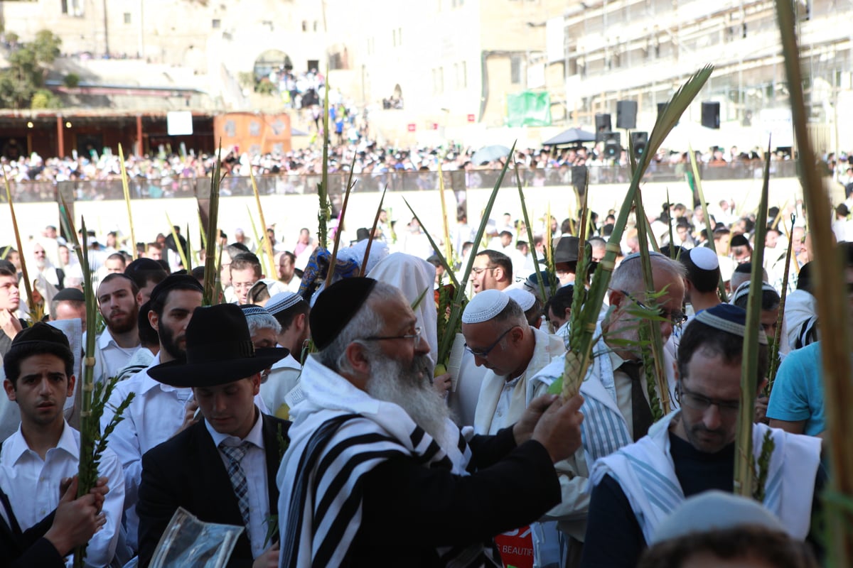 רבבות הגיעו למעמד ברכת כהנים בכותל • גלריית ענק