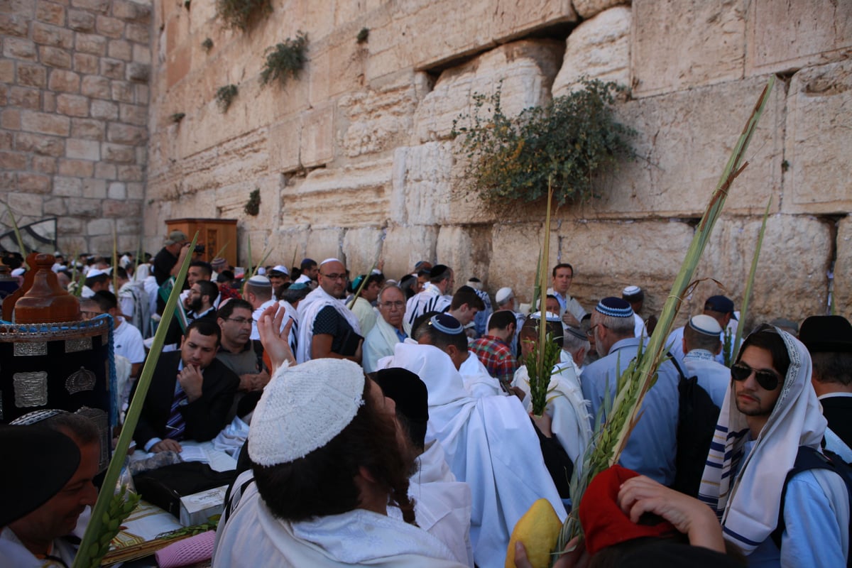 רבבות הגיעו למעמד ברכת כהנים בכותל • גלריית ענק