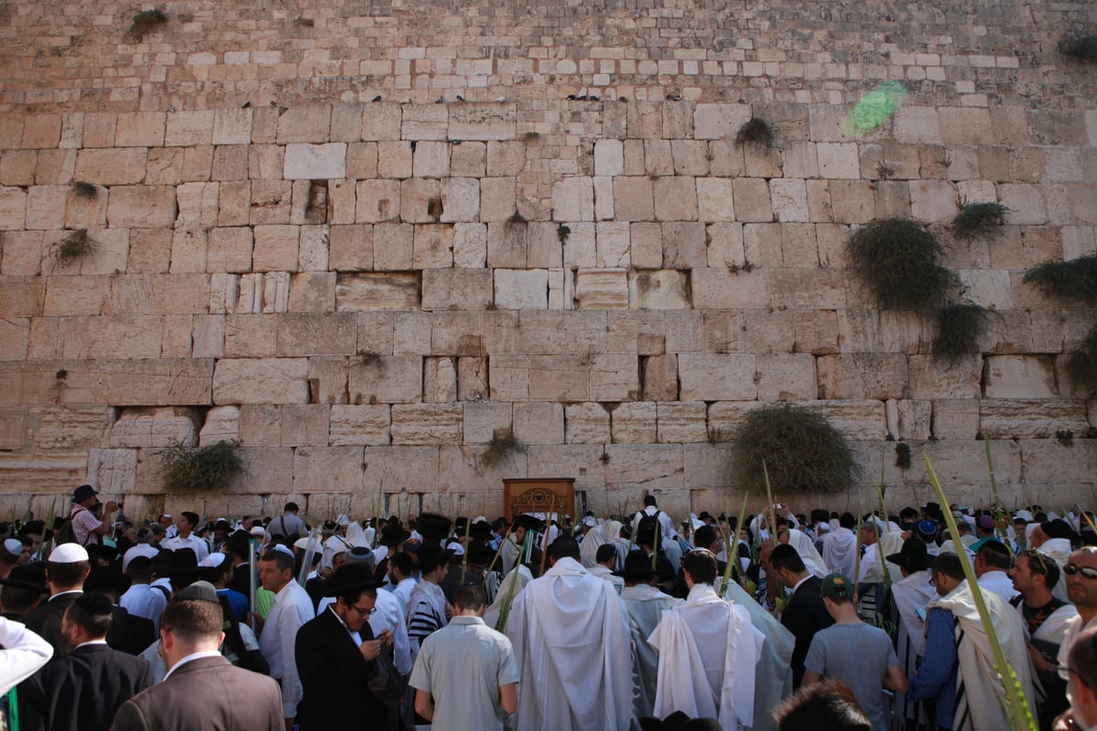 רבבות הגיעו למעמד ברכת כהנים בכותל • גלריית ענק