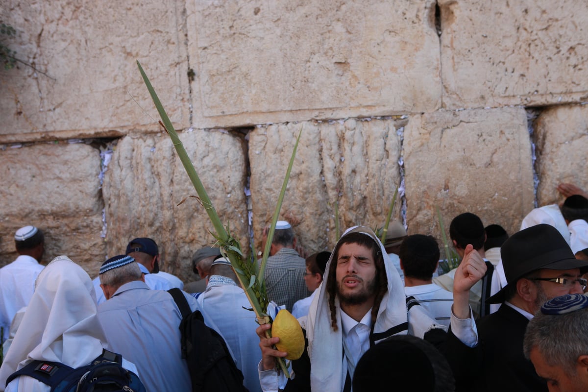 רבבות הגיעו למעמד ברכת כהנים בכותל • גלריית ענק