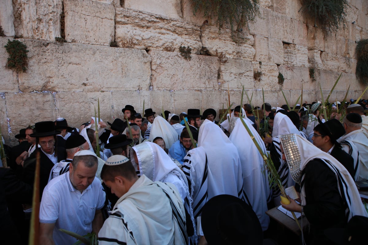 רבבות הגיעו למעמד ברכת כהנים בכותל • גלריית ענק