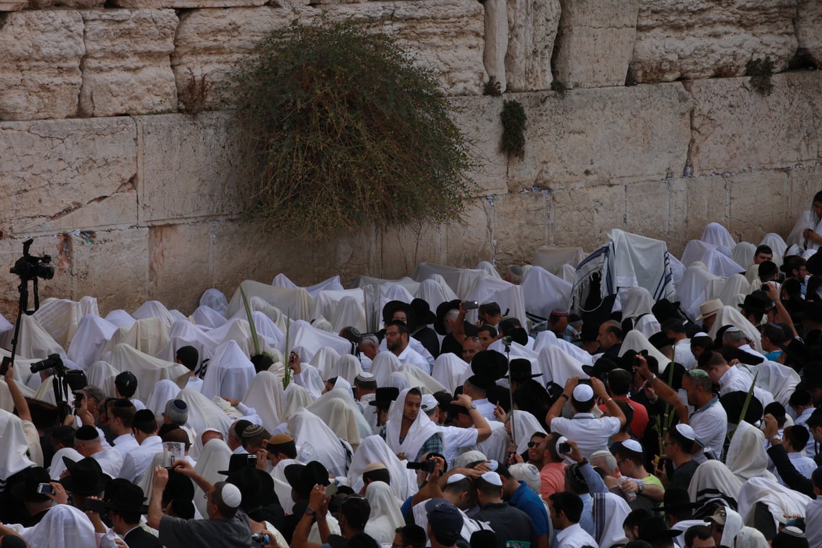 רבבות הגיעו למעמד ברכת כהנים בכותל • גלריית ענק