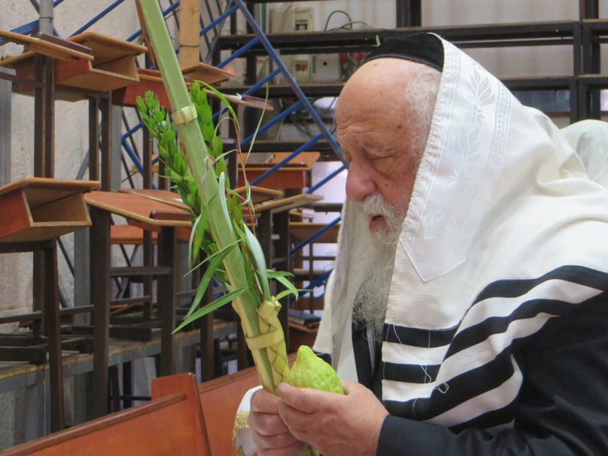 תיעוד ענק: חג הסוכות בישיבת פוניבז'