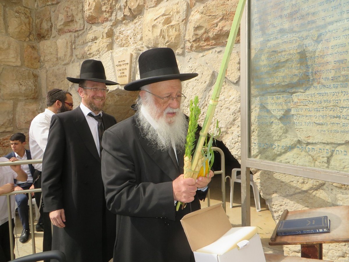 תיעוד ענק: חג הסוכות בישיבת פוניבז'