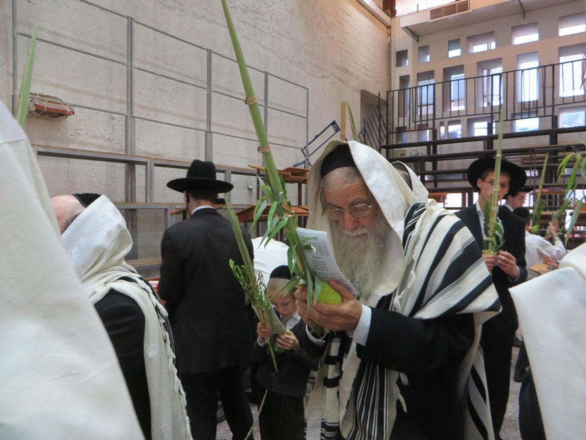 תיעוד ענק: חג הסוכות בישיבת פוניבז'