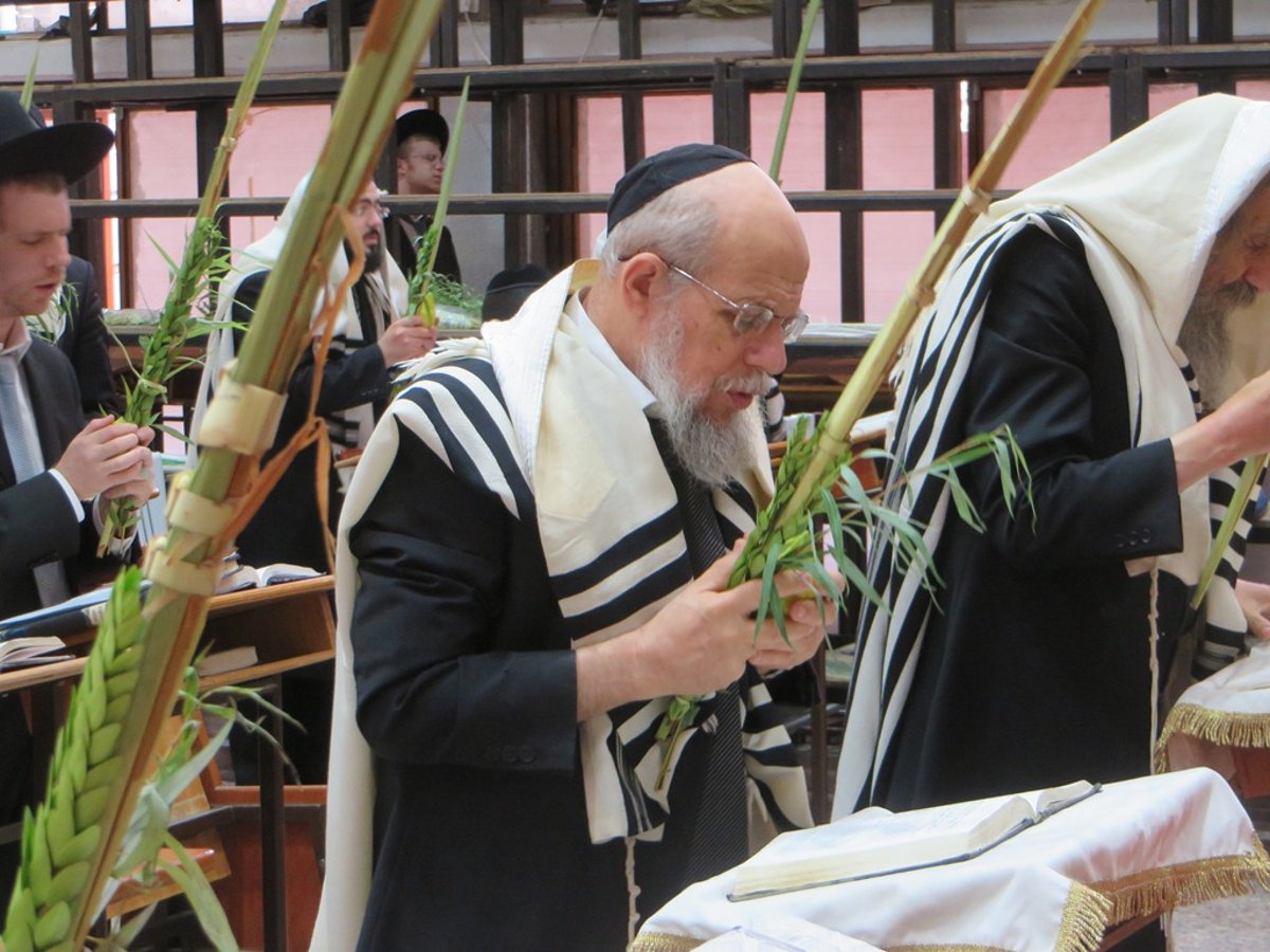 תיעוד ענק: חג הסוכות בישיבת פוניבז'