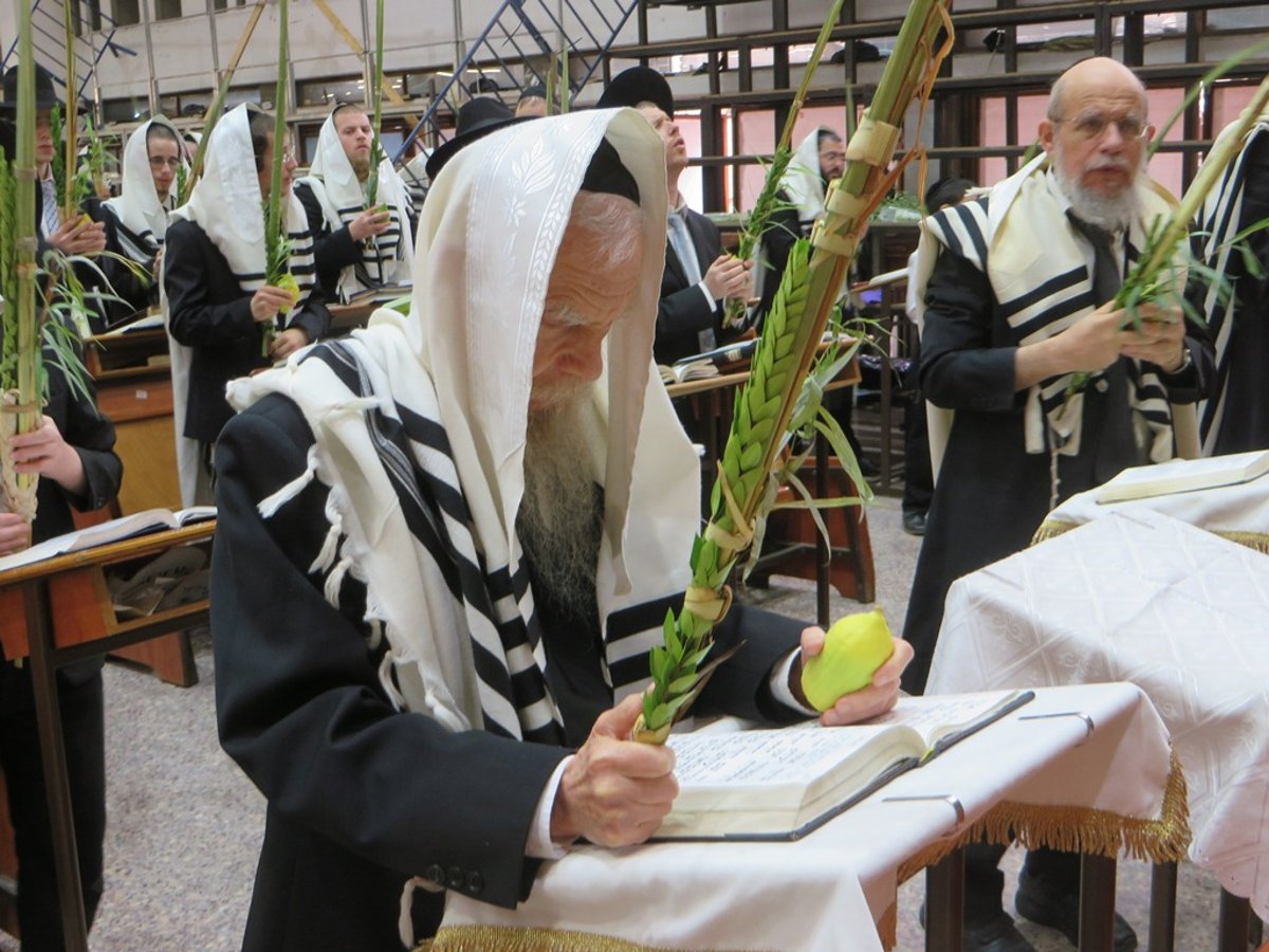 תיעוד ענק: חג הסוכות בישיבת פוניבז'