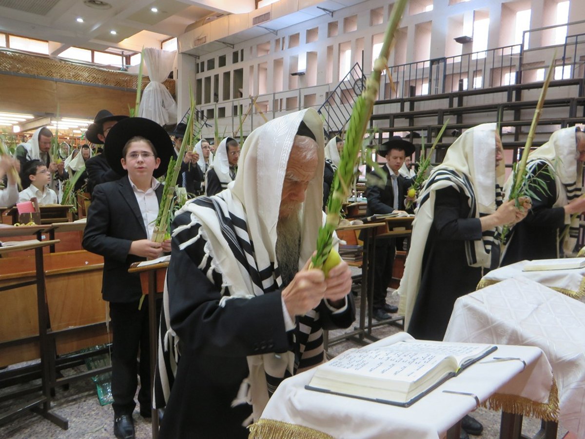 תיעוד ענק: חג הסוכות בישיבת פוניבז'