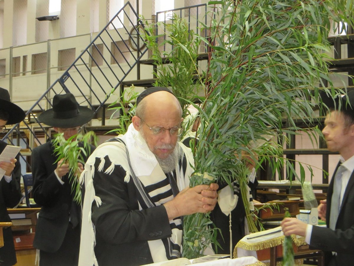 תיעוד ענק: חג הסוכות בישיבת פוניבז'