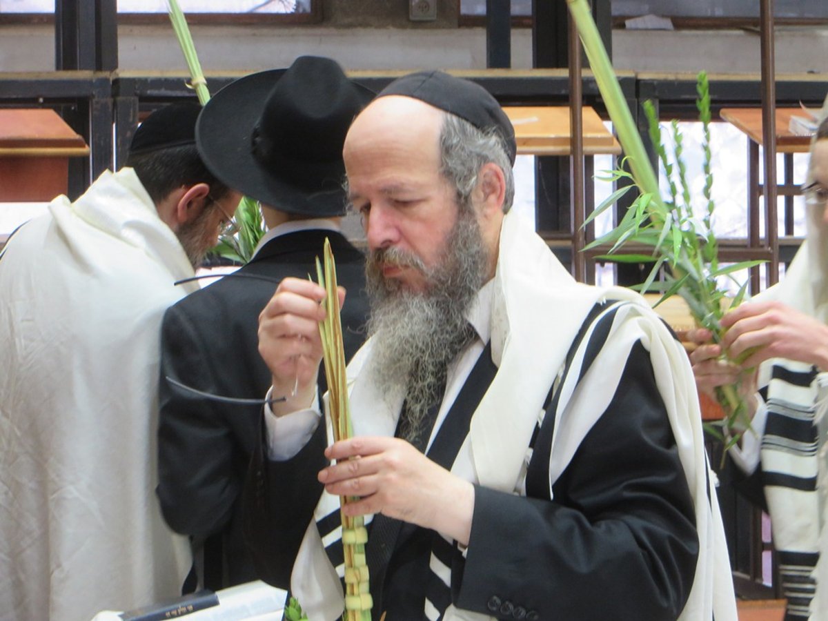 תיעוד ענק: חג הסוכות בישיבת פוניבז'