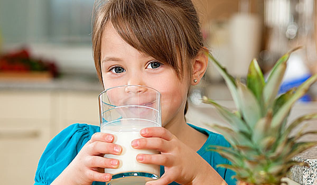 מחקר ענק קובע: חלב חיוני לבריאות