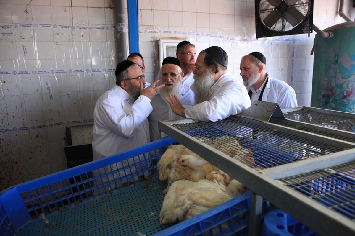 תיעוד: חברי 'שארית' בסיור במשחטה