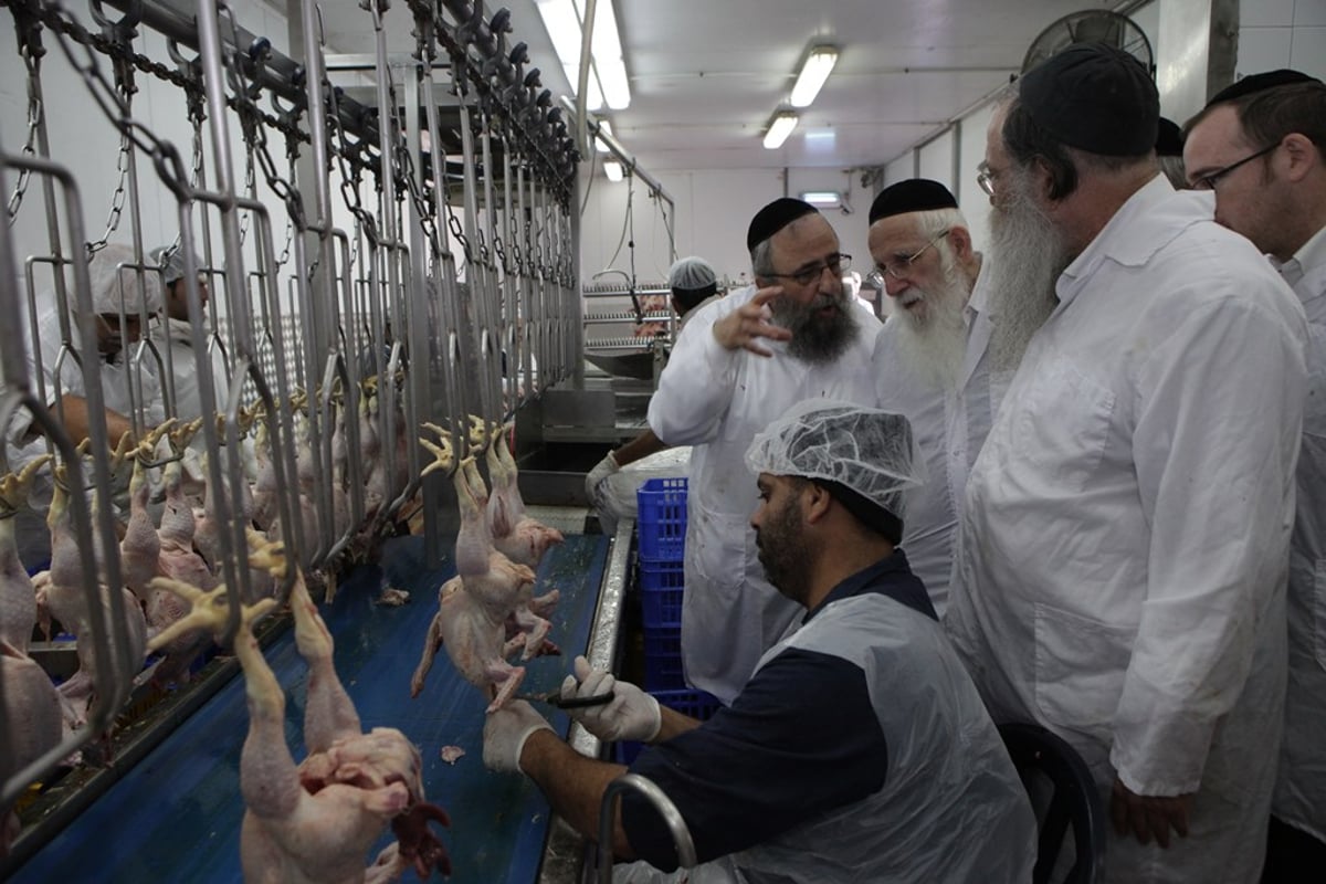 תיעוד: חברי 'שארית' בסיור במשחטה