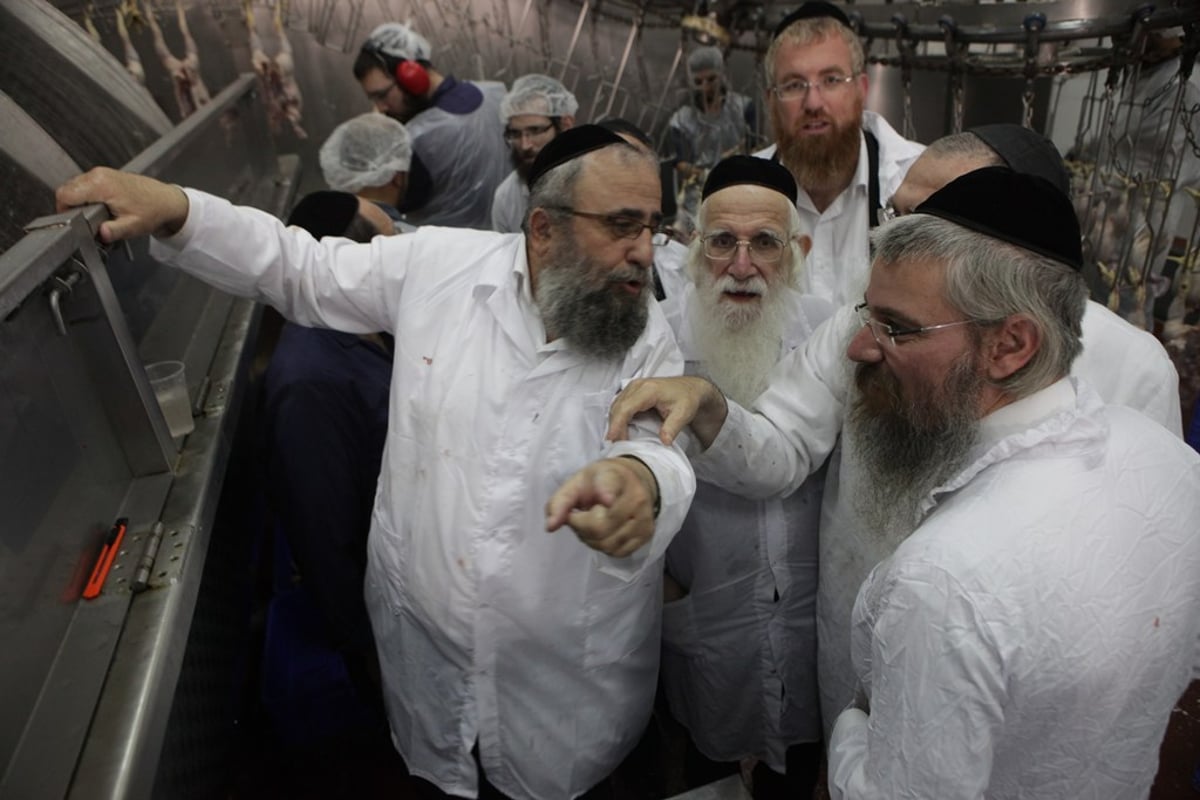 תיעוד: חברי 'שארית' בסיור במשחטה