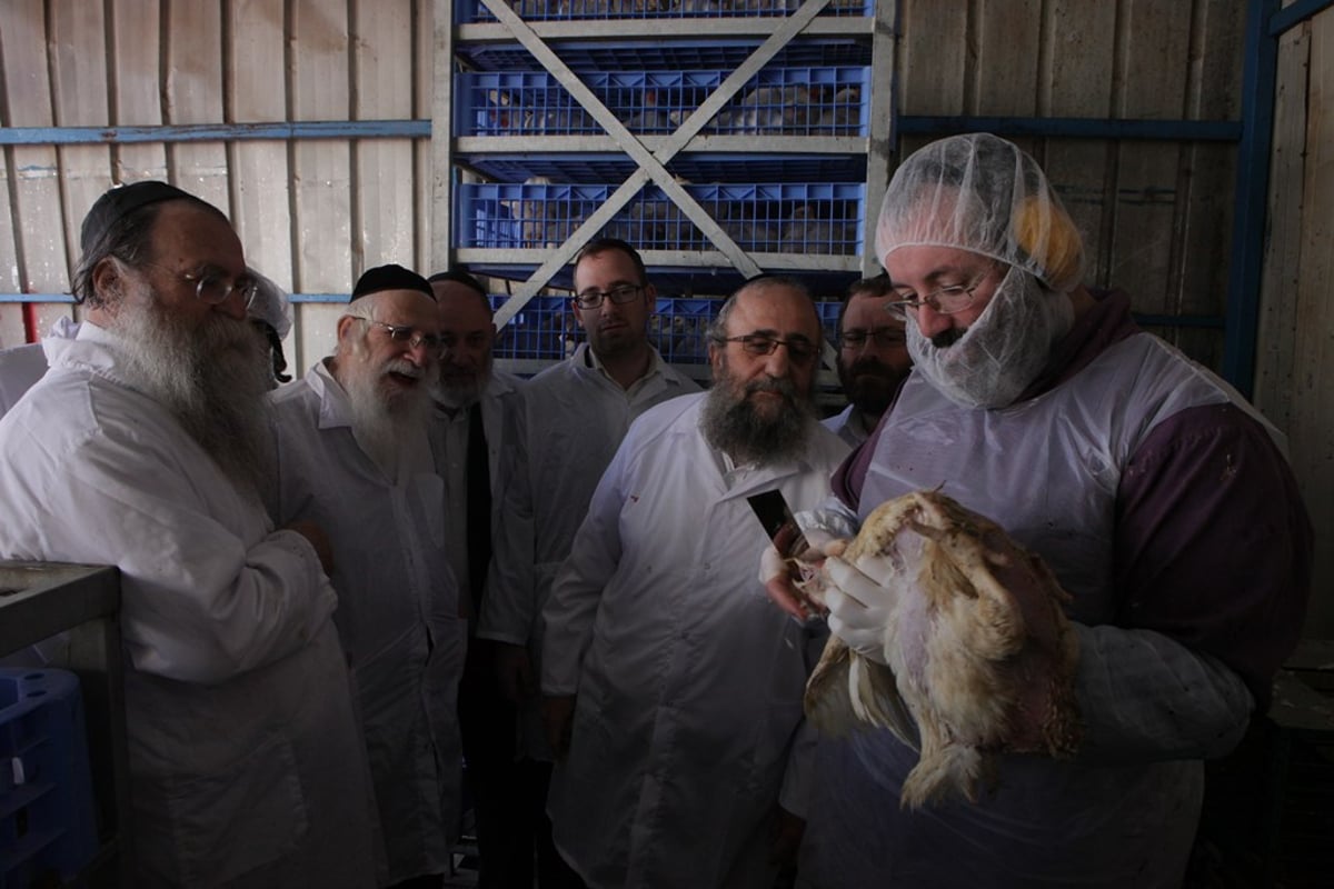 תיעוד: חברי 'שארית' בסיור במשחטה