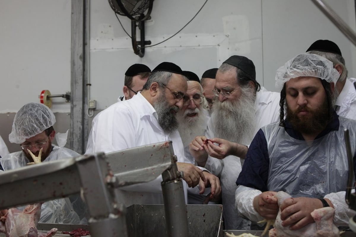 תיעוד: חברי 'שארית' בסיור במשחטה