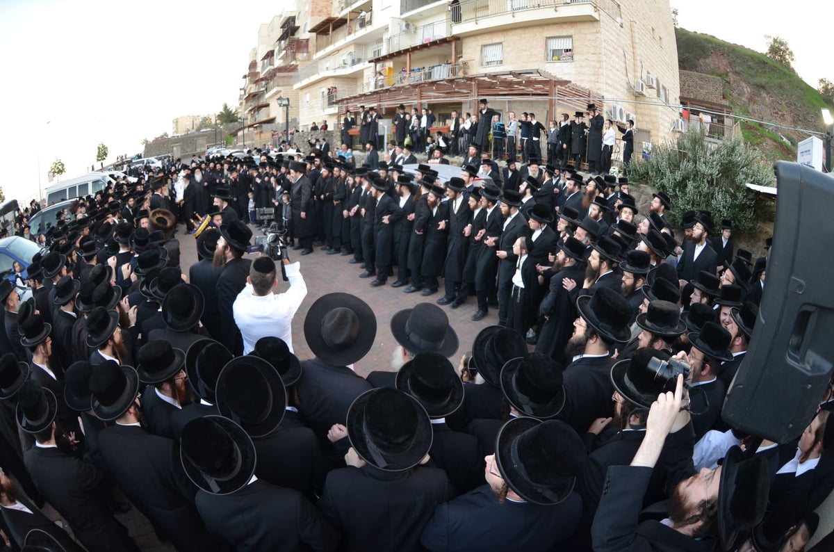 היסטוריה: בצאנז חנכו קריה בטבריה