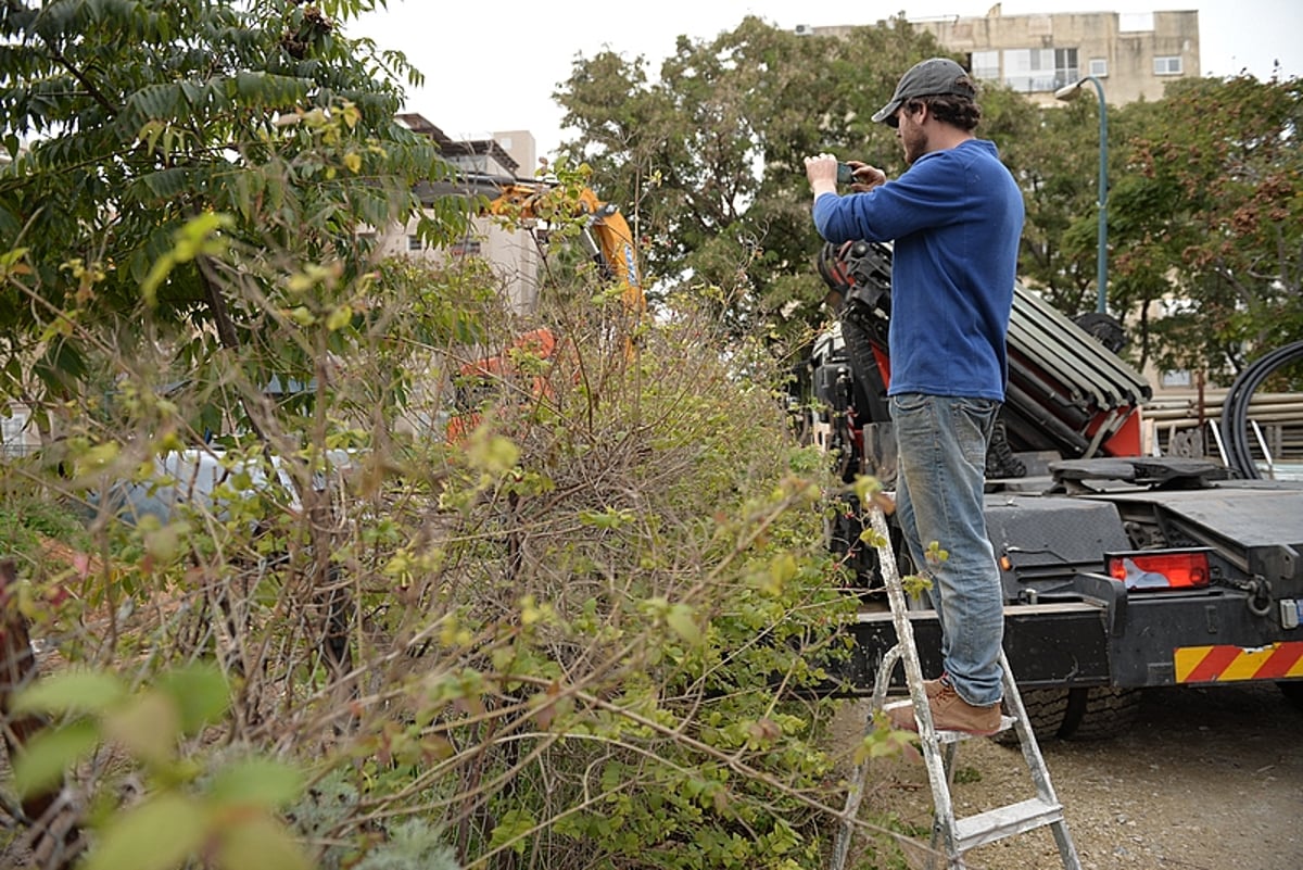 חנוכיית בטון ענקית הוצבה בעיר רחובות • צפו