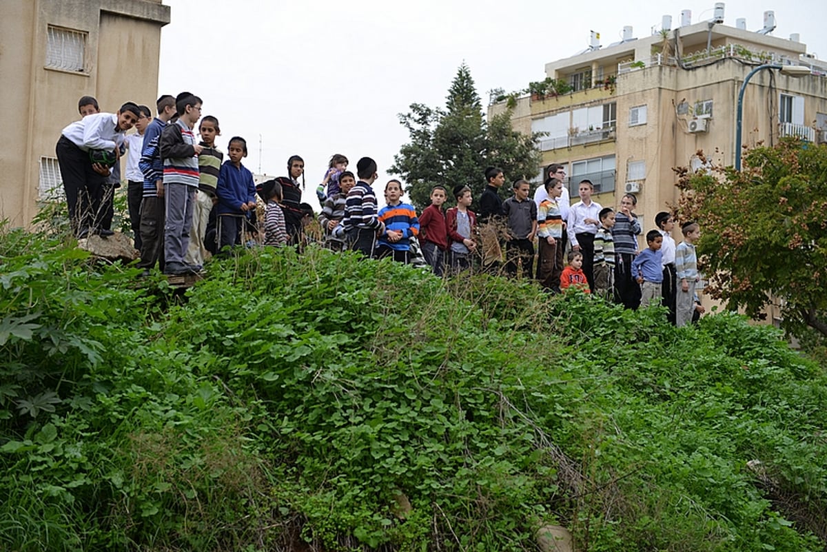 חנוכיית בטון ענקית הוצבה בעיר רחובות • צפו