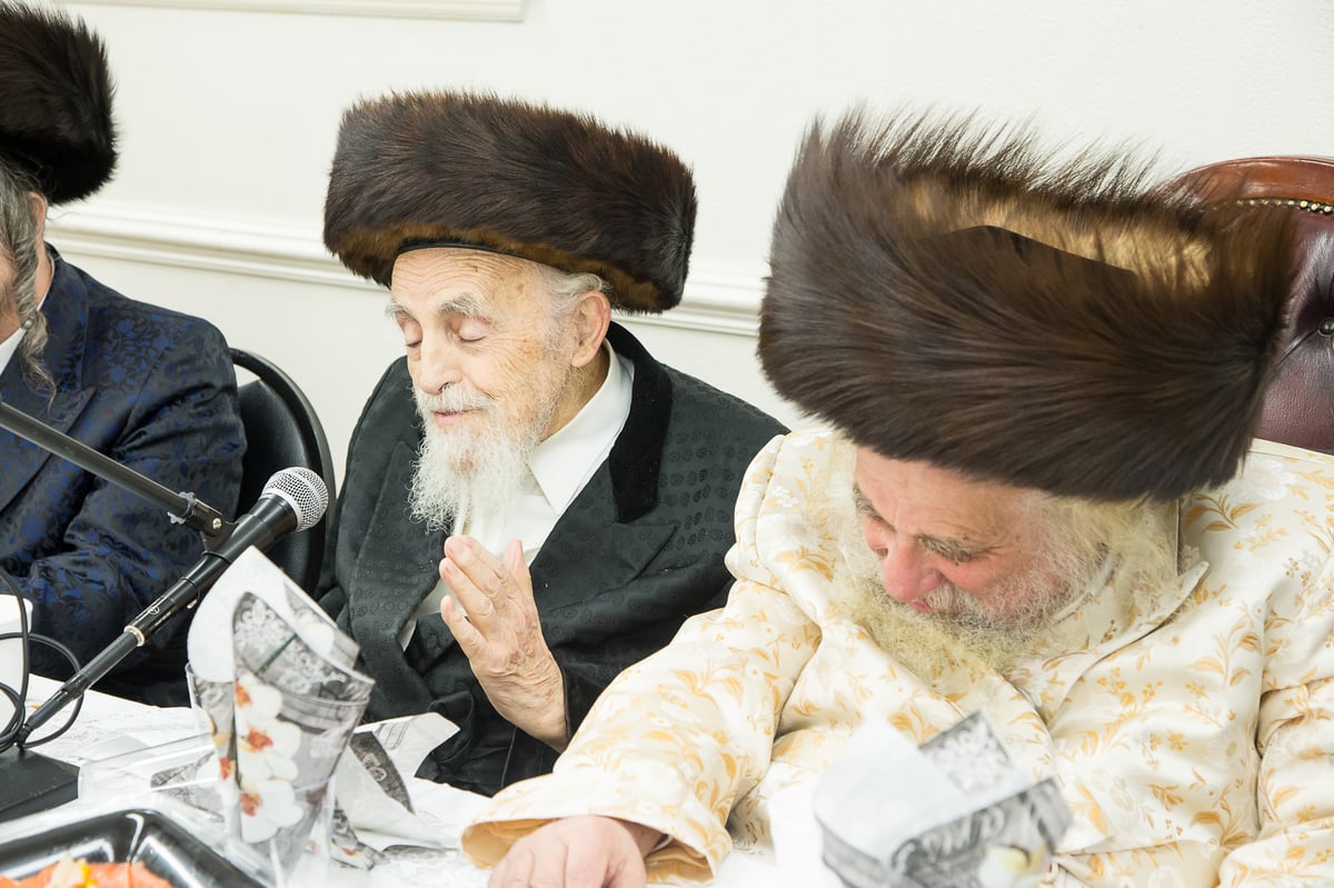 תיעוד: מלווה מלכה לטובת מוסדות קארלסבורג