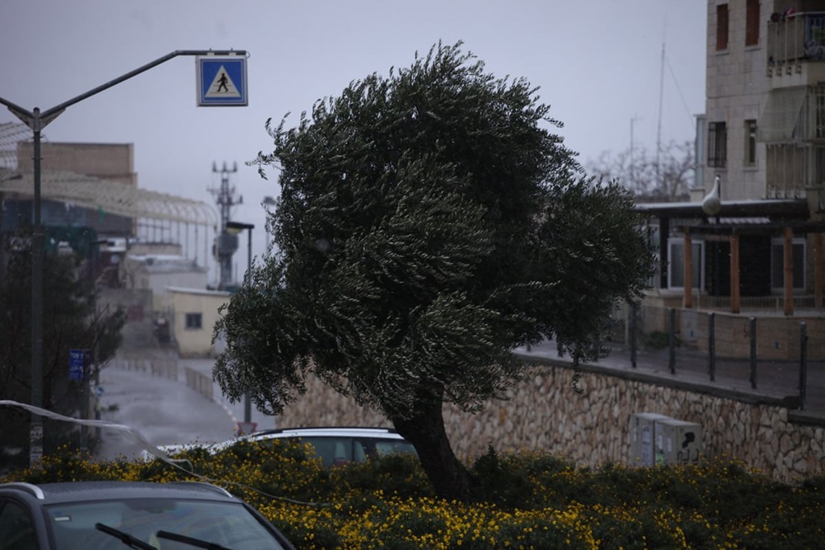 תמונות: הירושלמים מחכים לשלג