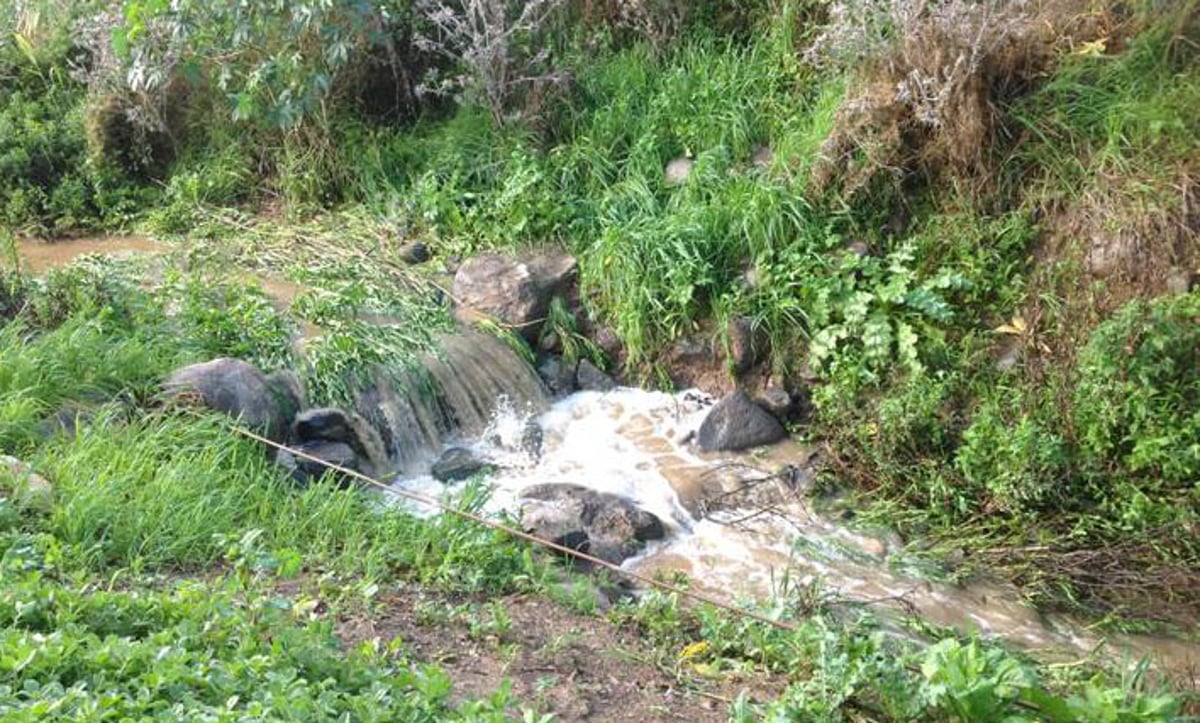 מדהים: סיור מצולם בנוף הפראי של הצפון