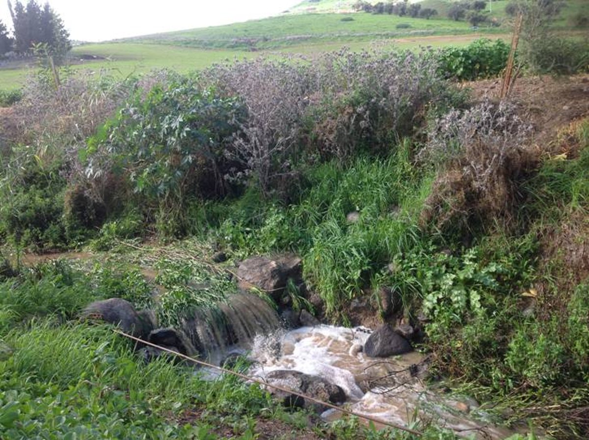 מדהים: סיור מצולם בנוף הפראי של הצפון