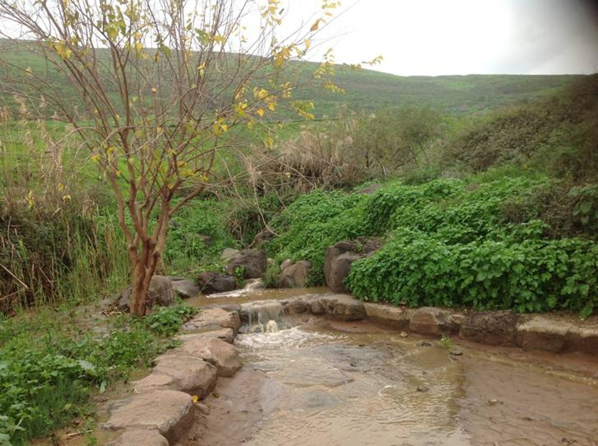 מדהים: סיור מצולם בנוף הפראי של הצפון