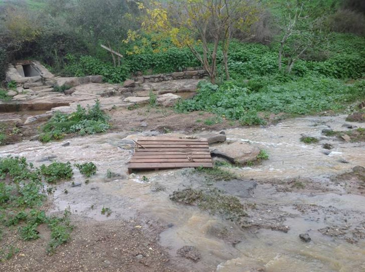 מדהים: סיור מצולם בנוף הפראי של הצפון