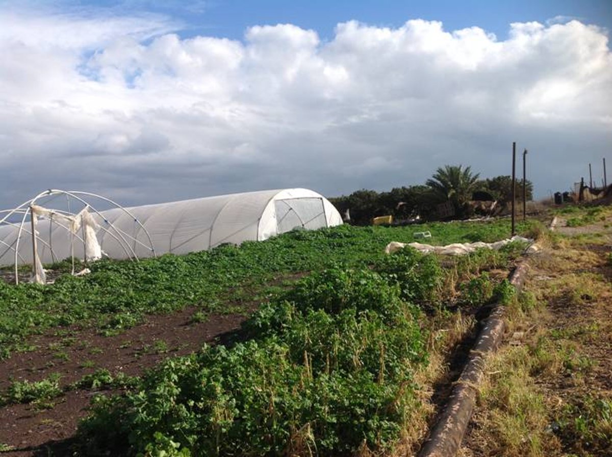 מדהים: סיור מצולם בנוף הפראי של הצפון