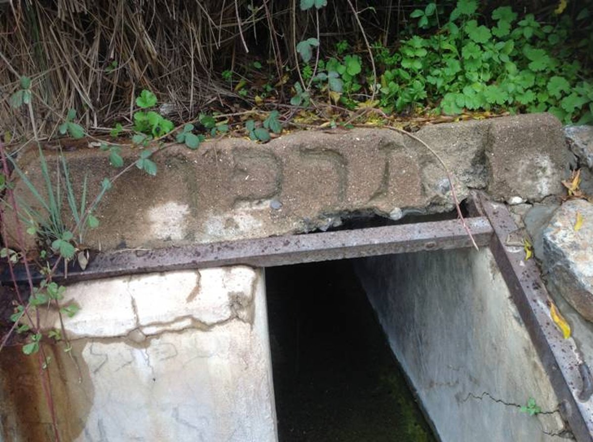 מדהים: סיור מצולם בנוף הפראי של הצפון