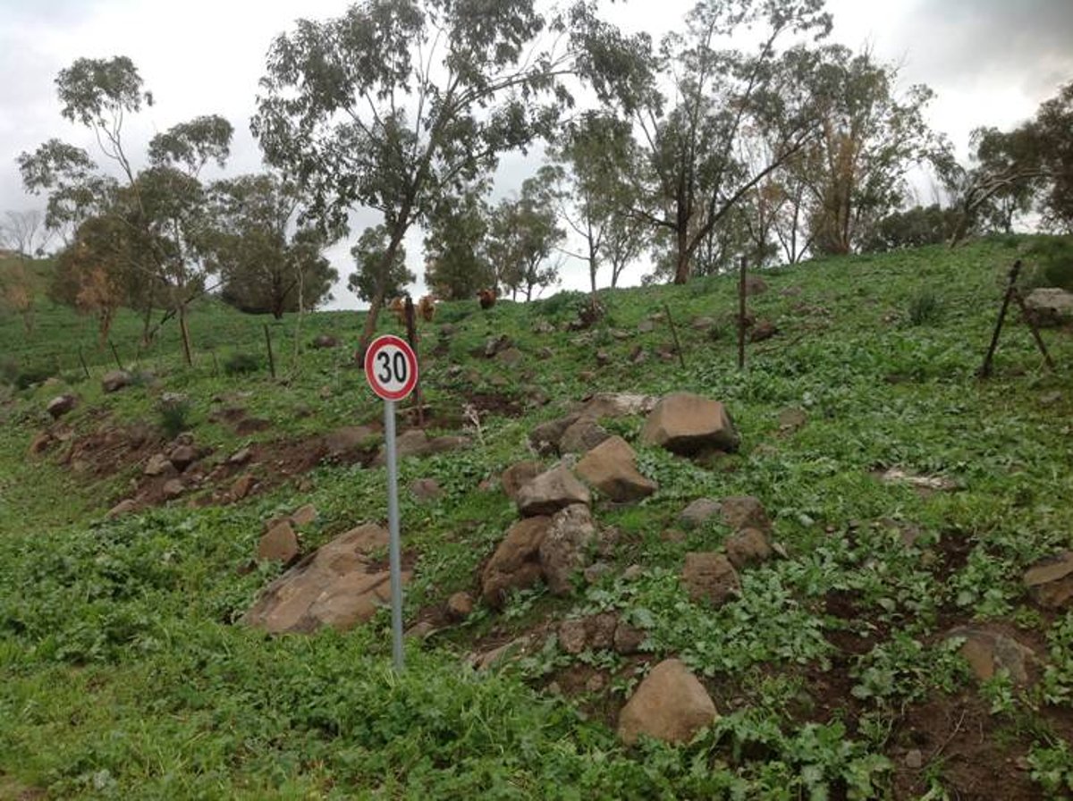 מדהים: סיור מצולם בנוף הפראי של הצפון