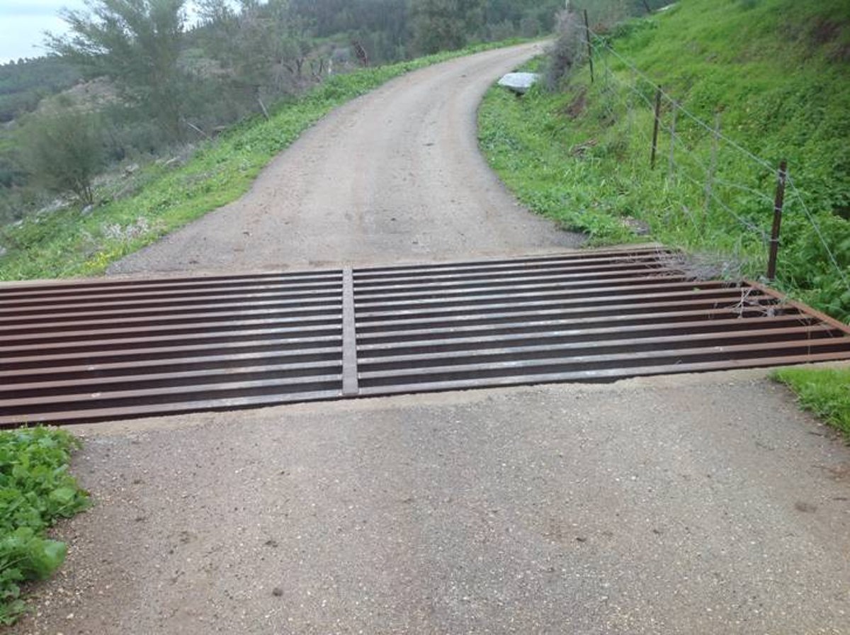 מדהים: סיור מצולם בנוף הפראי של הצפון