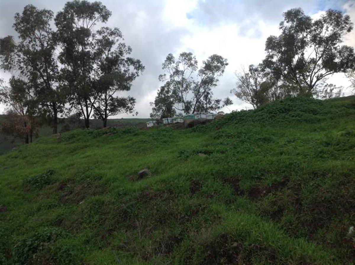 מדהים: סיור מצולם בנוף הפראי של הצפון