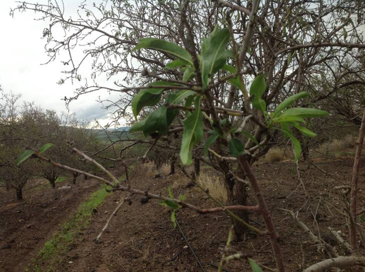 מדהים: סיור מצולם בנוף הפראי של הצפון