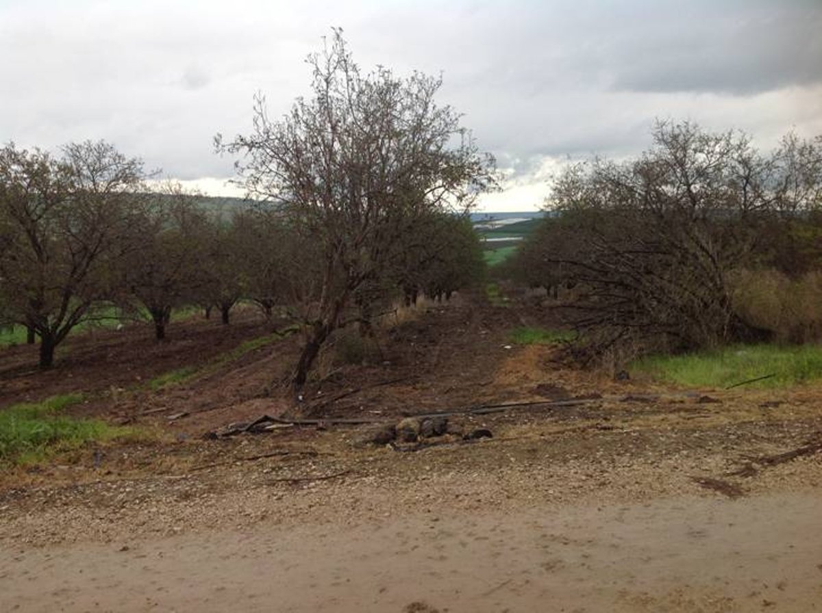 מדהים: סיור מצולם בנוף הפראי של הצפון