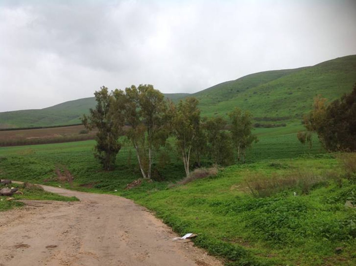 מדהים: סיור מצולם בנוף הפראי של הצפון