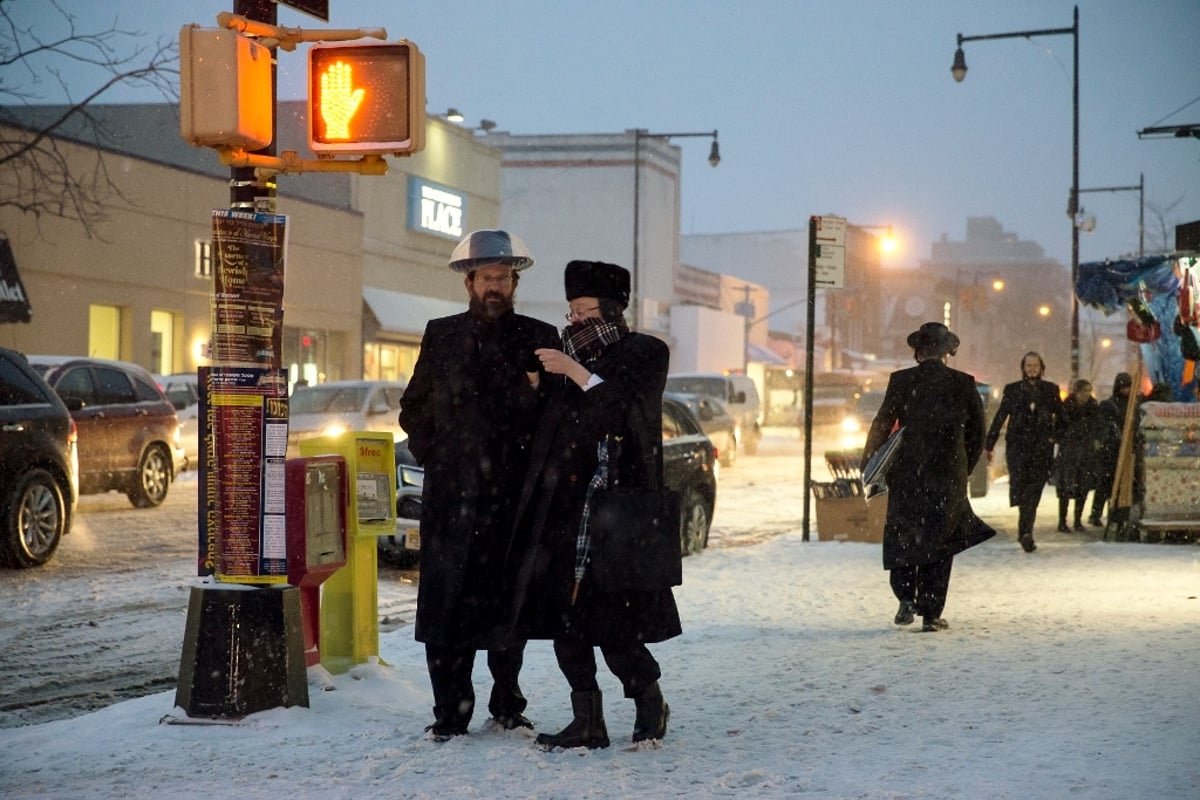 גלרית ענק: ילדי ניו יורק משחקים בשלג