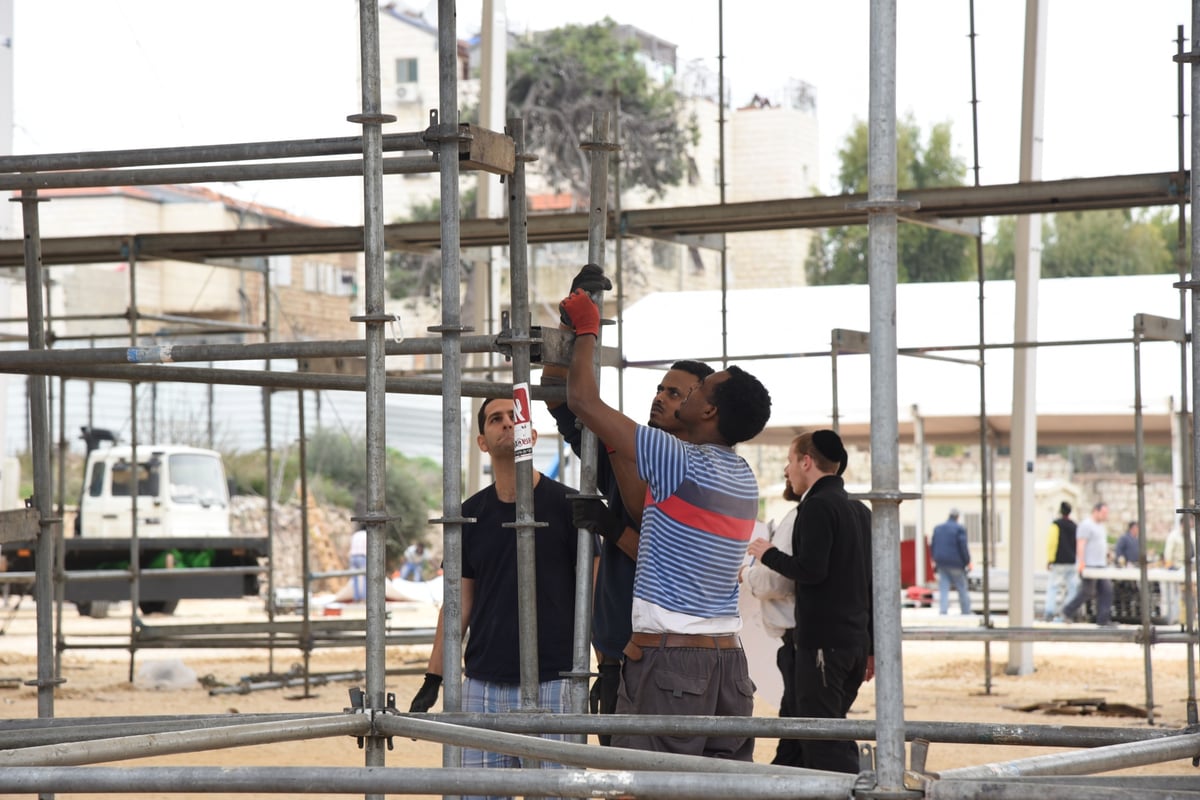 תיעוד: ההכנות להגעת האדמו"ר מבאבוב