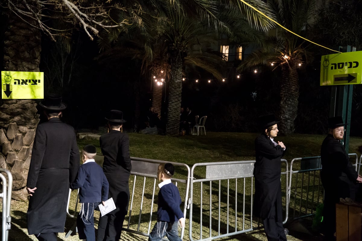 תיעוד ענק: טיש ט"ו בשבט של האדמו"ר מבאבוב