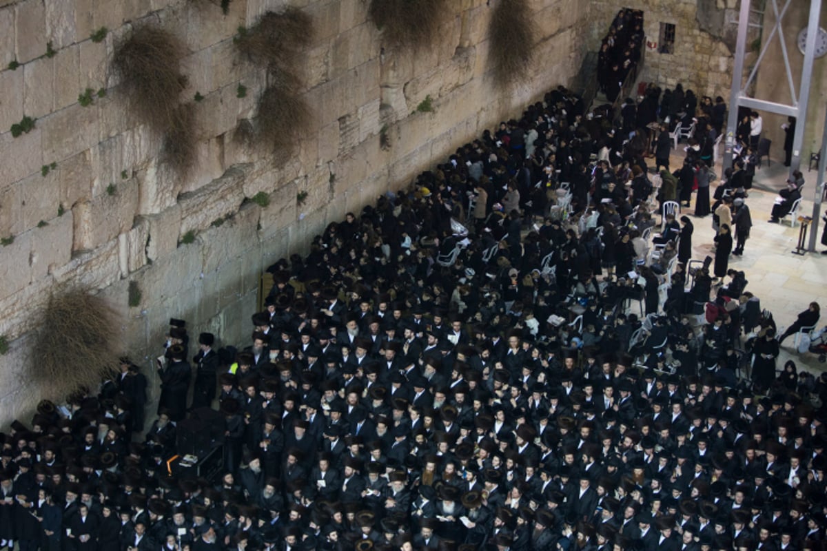 גלריה: האדמו"ר מבאבוב ואלפי חסידים בכותל המערבי