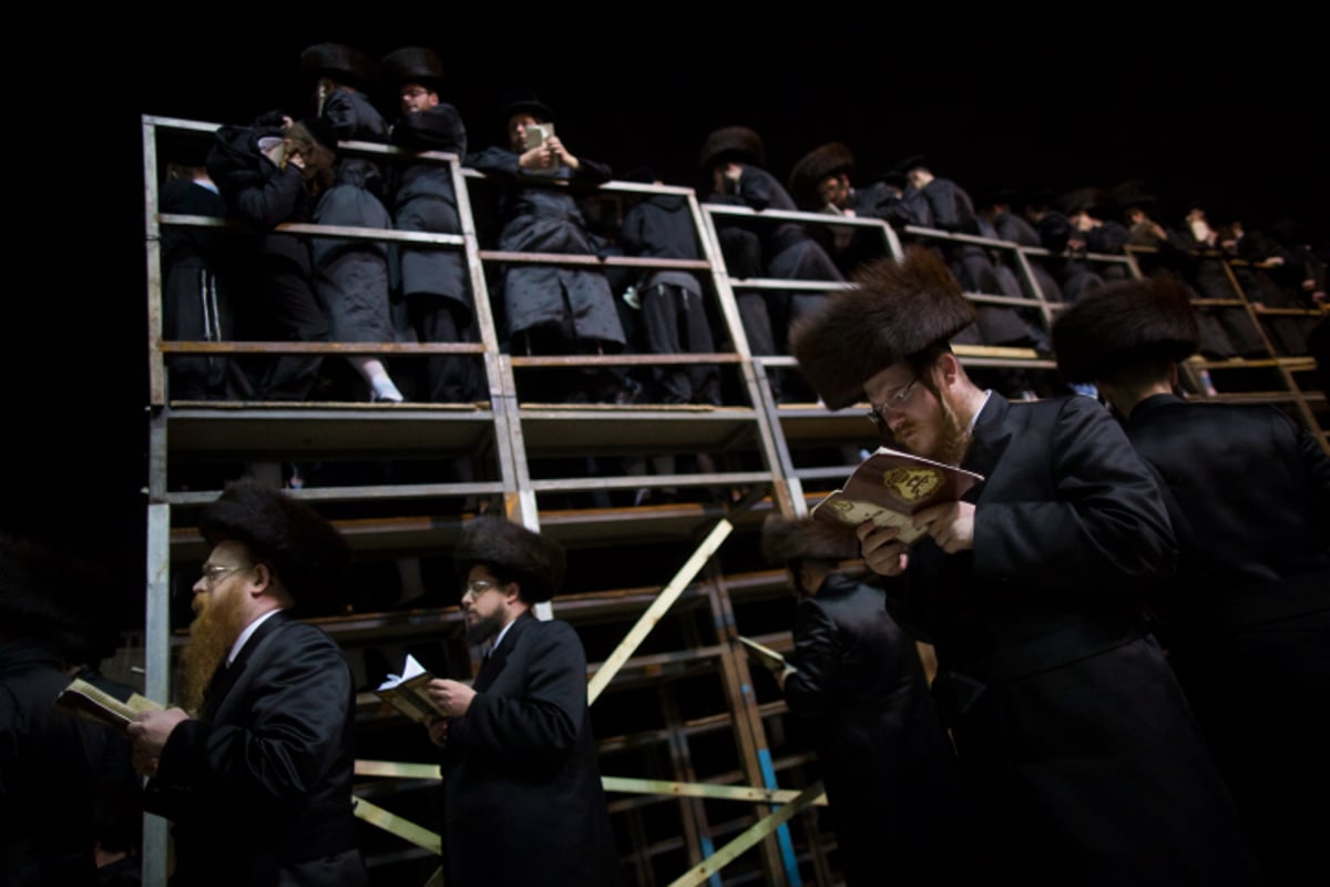 גלריה: האדמו"ר מבאבוב ואלפי חסידים בכותל המערבי