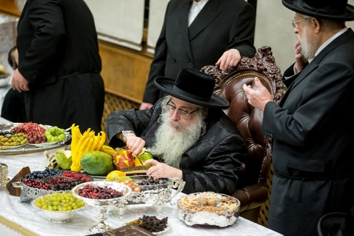 גלריה: טיש ט"ו בשבט בחצר צאנז קלויזנבורג