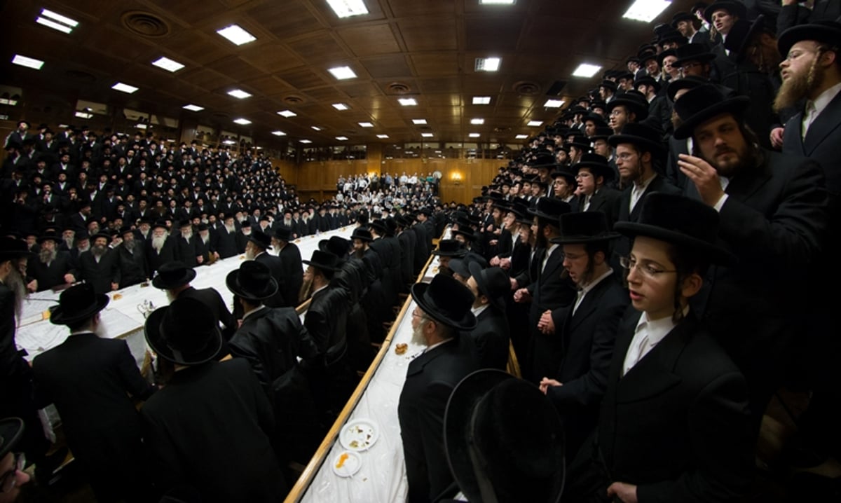 גלריה: טיש ט"ו בשבט בחצר צאנז קלויזנבורג