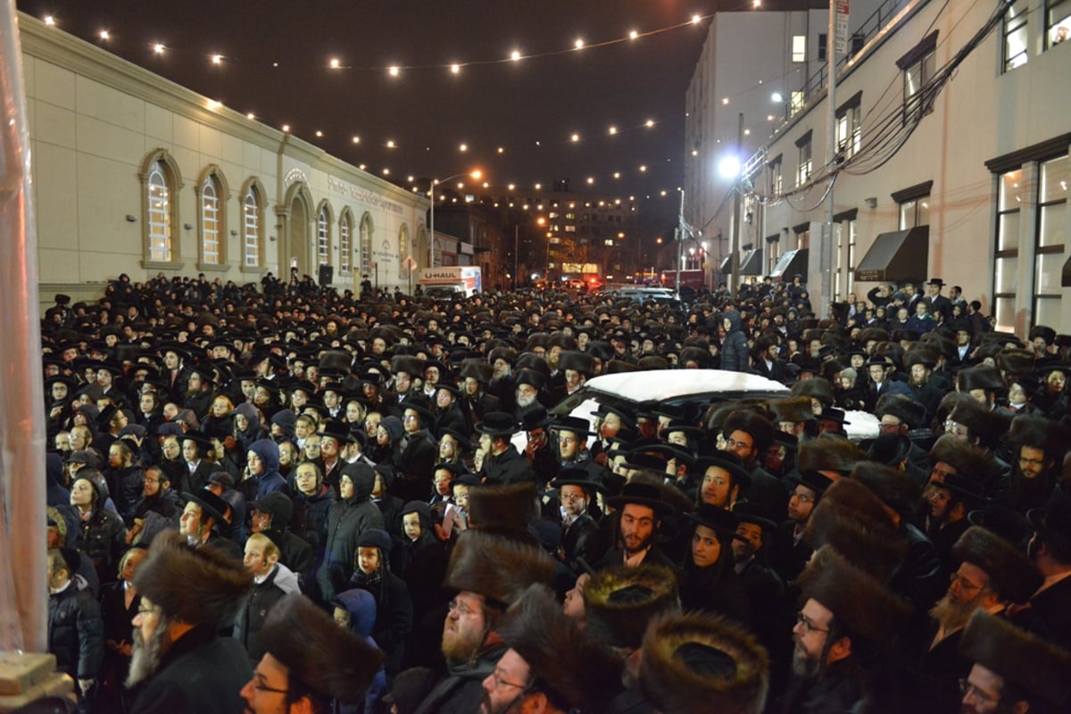 חתונת נכד האדמו"ר מסאטמר • גלריית ענק